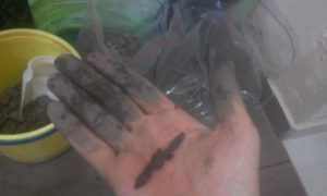 soil texture