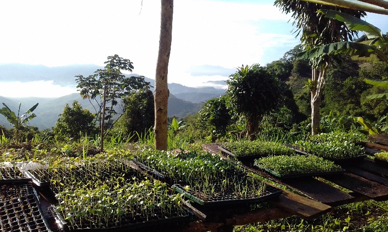 Organic Hillside Farming